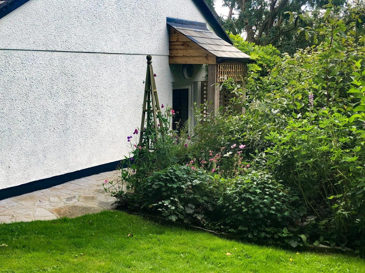 Primrose End Villa Bude Eksteriør bilde